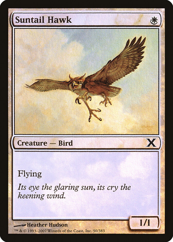 Suntail Hawk card front