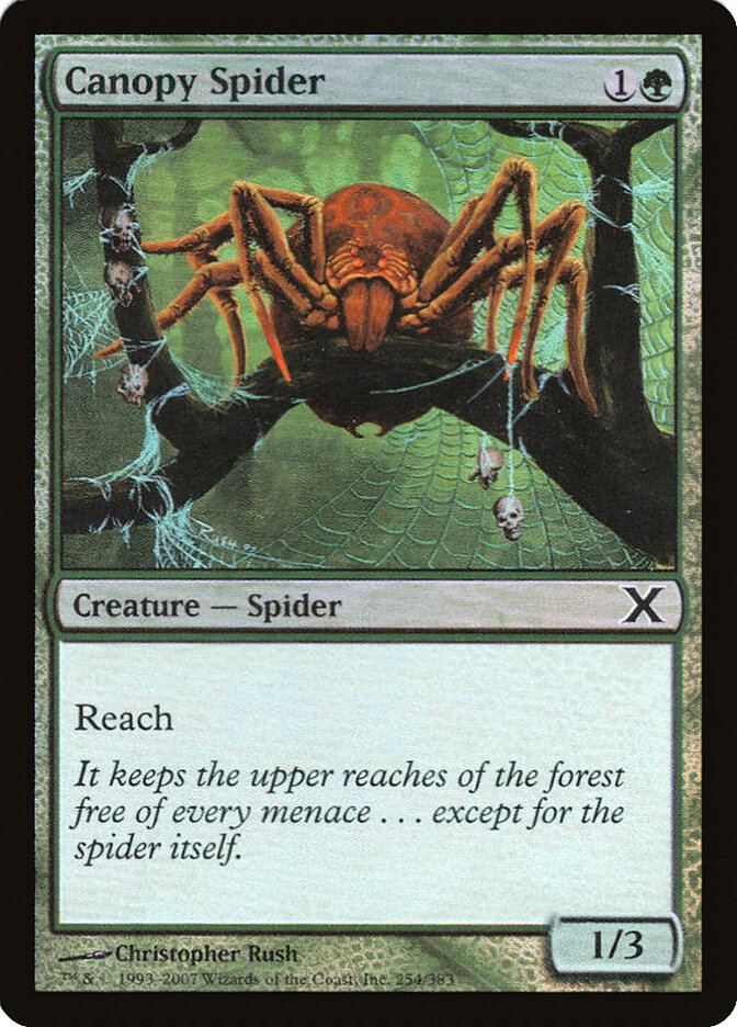 Canopy Spider card front