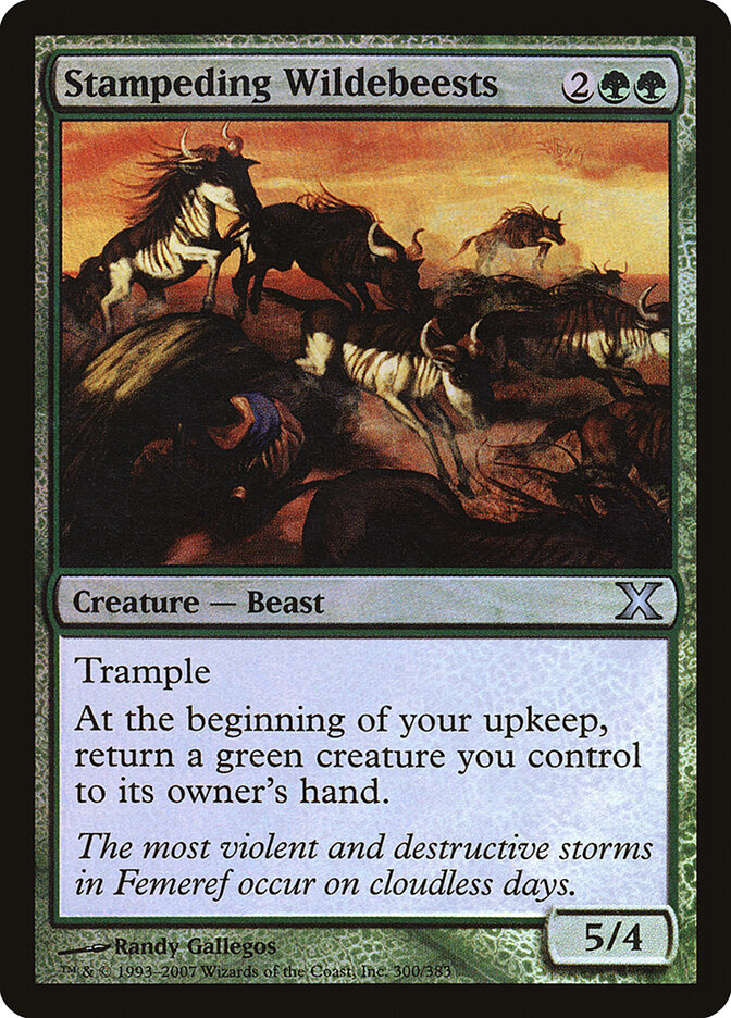Stampeding Wildebeests card front
