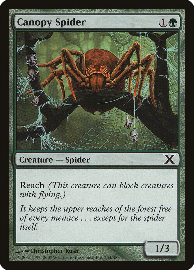 Canopy Spider card front