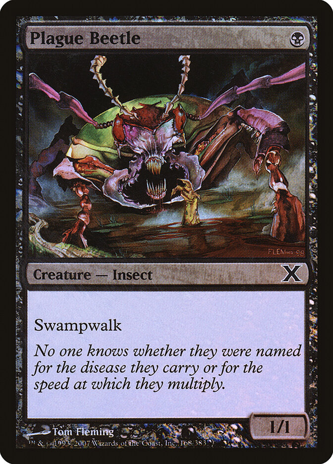Plague Beetle card front