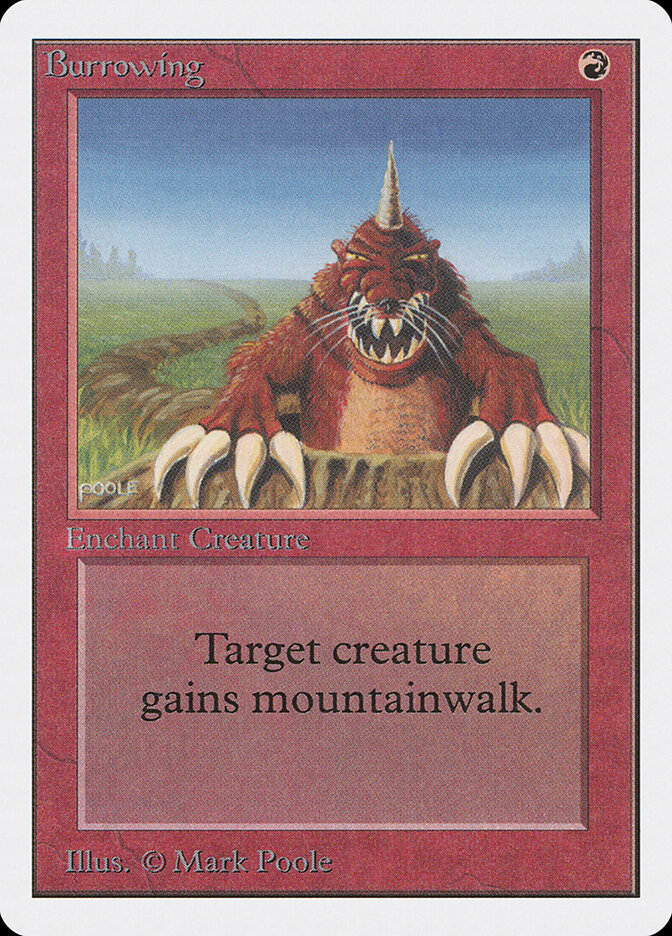 Burrowing card front