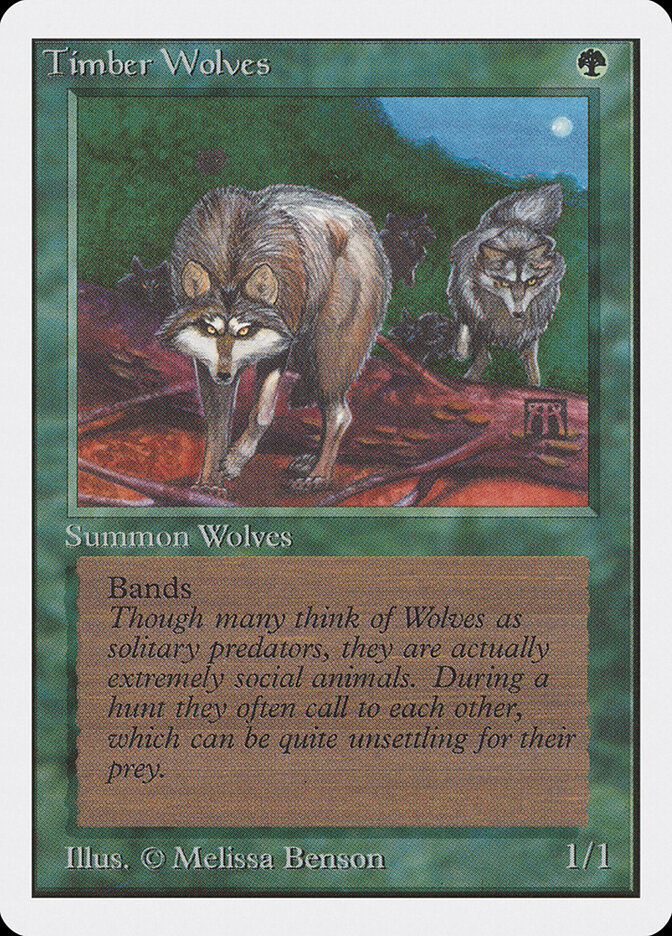 Timber Wolves card front