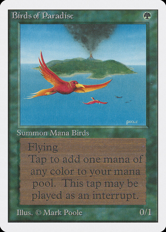 Birds of Paradise card front