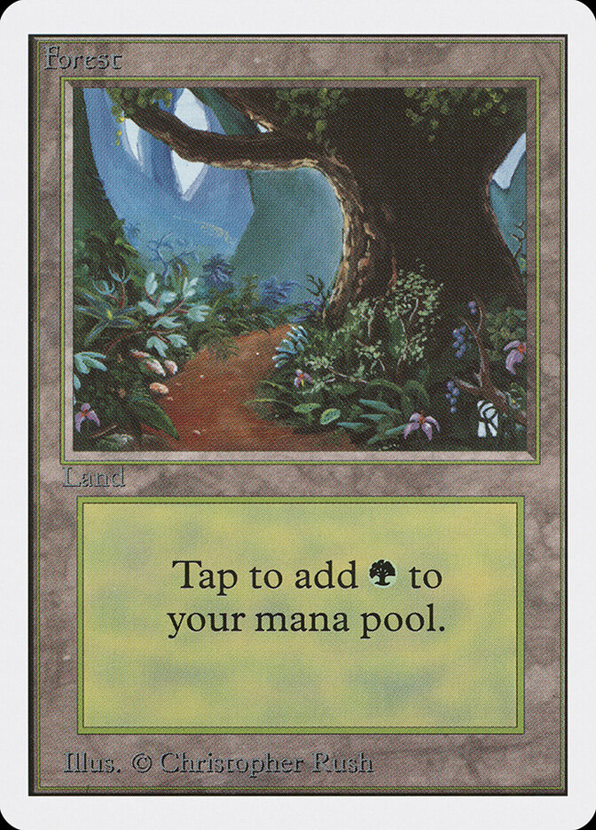 Forest card front