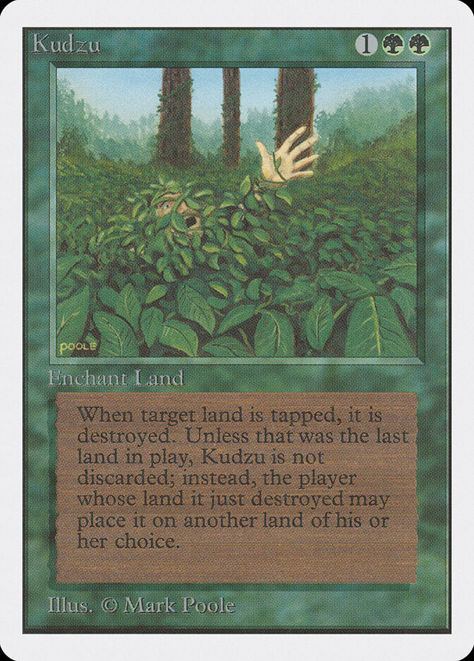 Kudzu card front