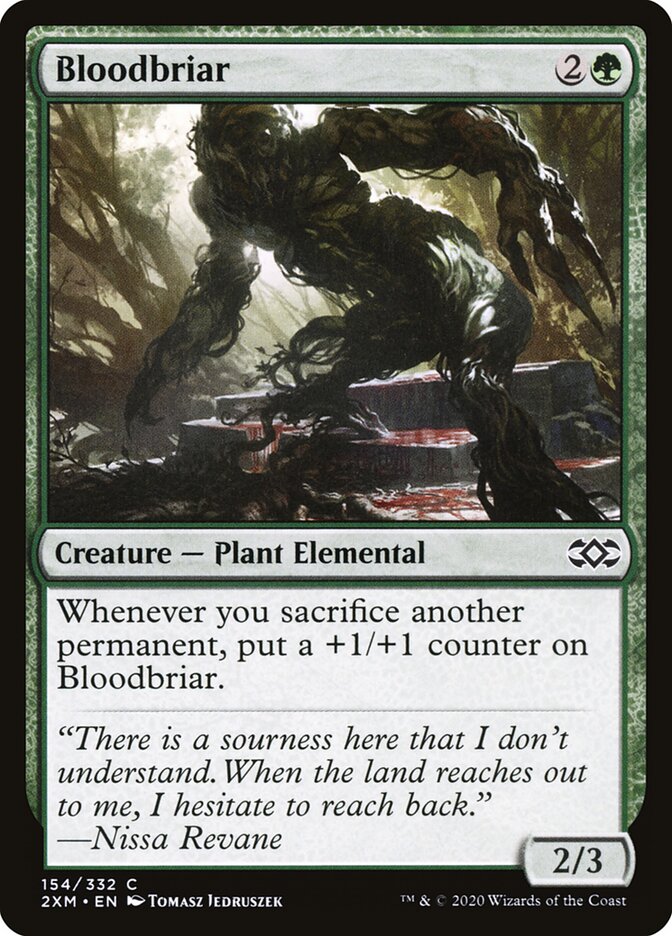 Bloodbriar card front