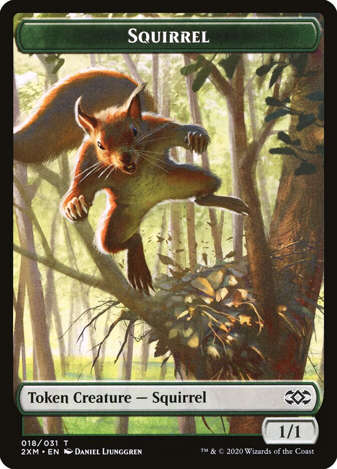 Squirrel card front