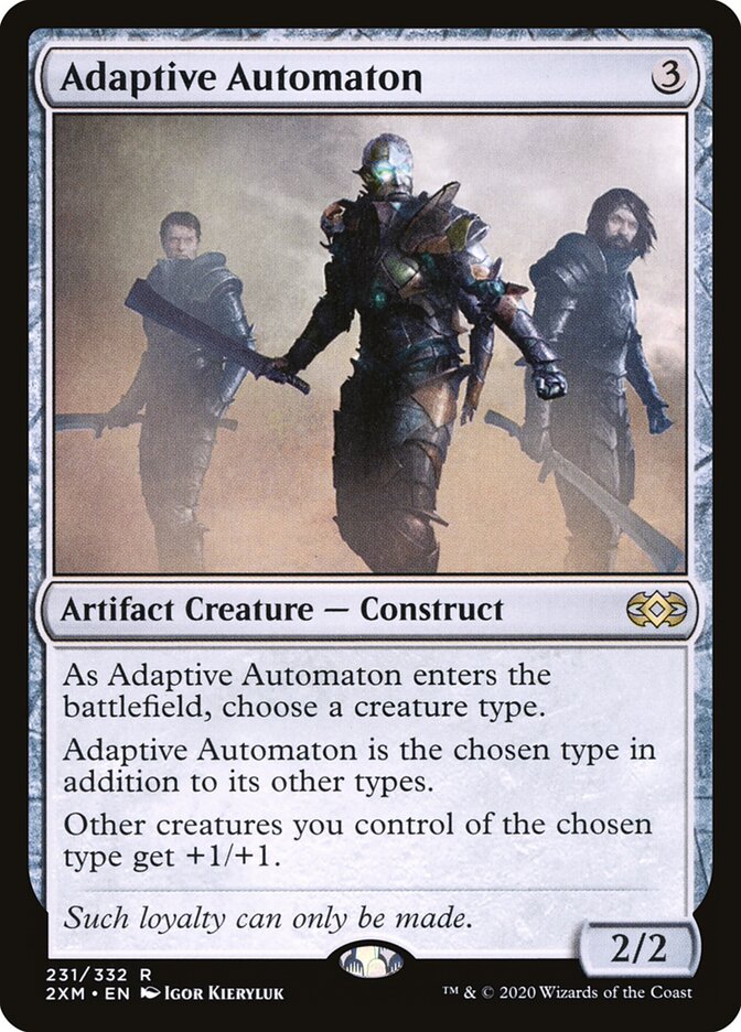 Adaptive Automaton card front