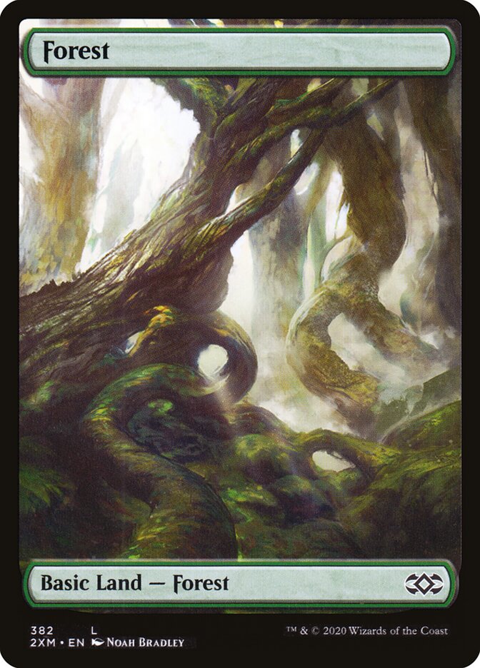 Forest card front