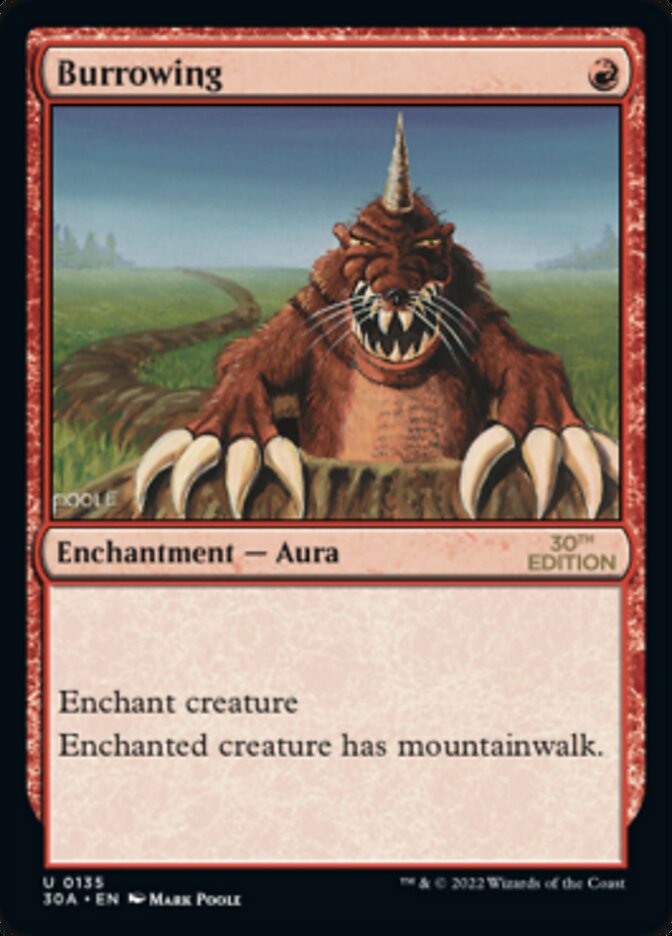 Burrowing card front