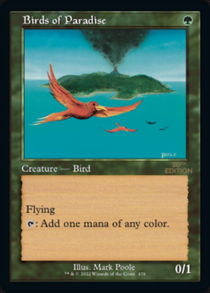 Birds of Paradise card front