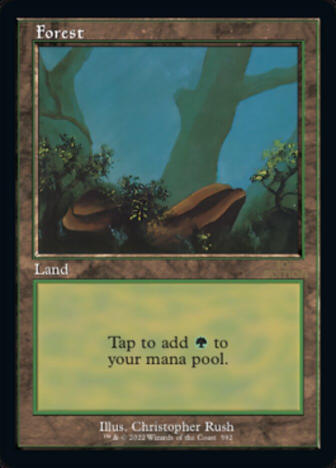 Forest card front