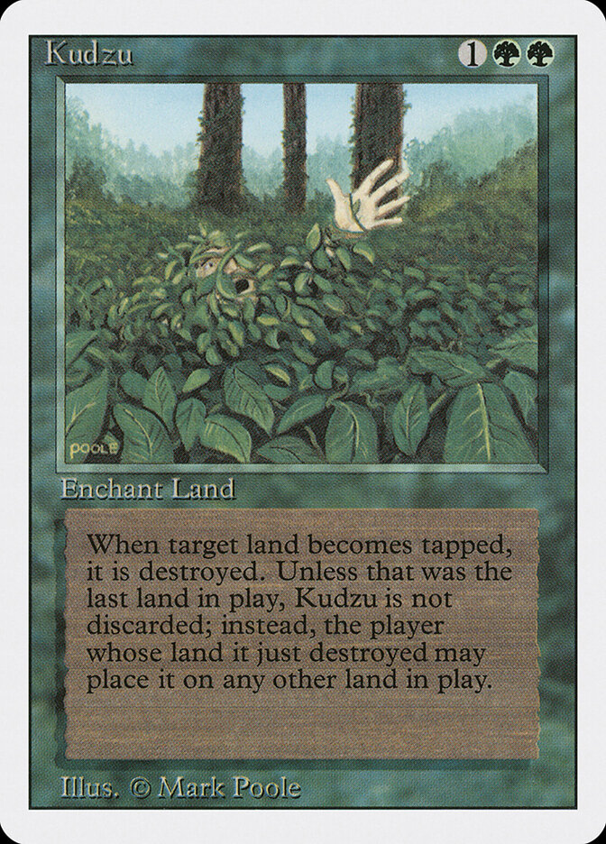 Kudzu card front