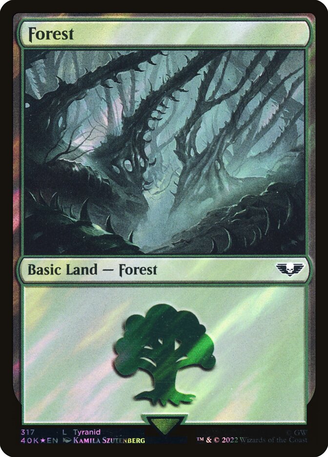 Forest card front