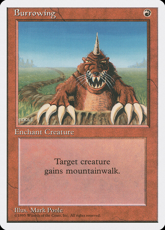 Burrowing card front