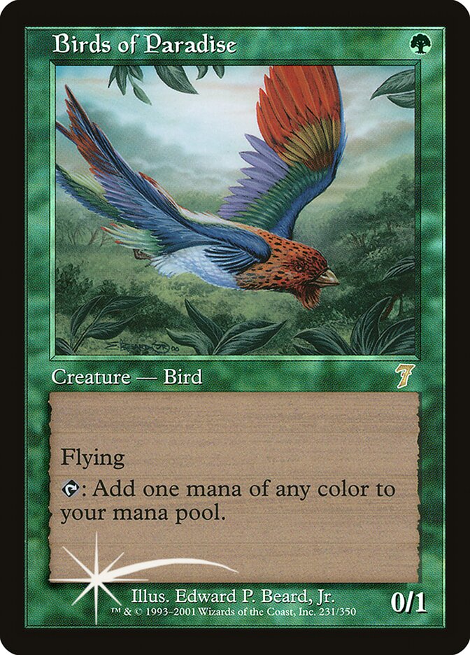 Birds of Paradise card front