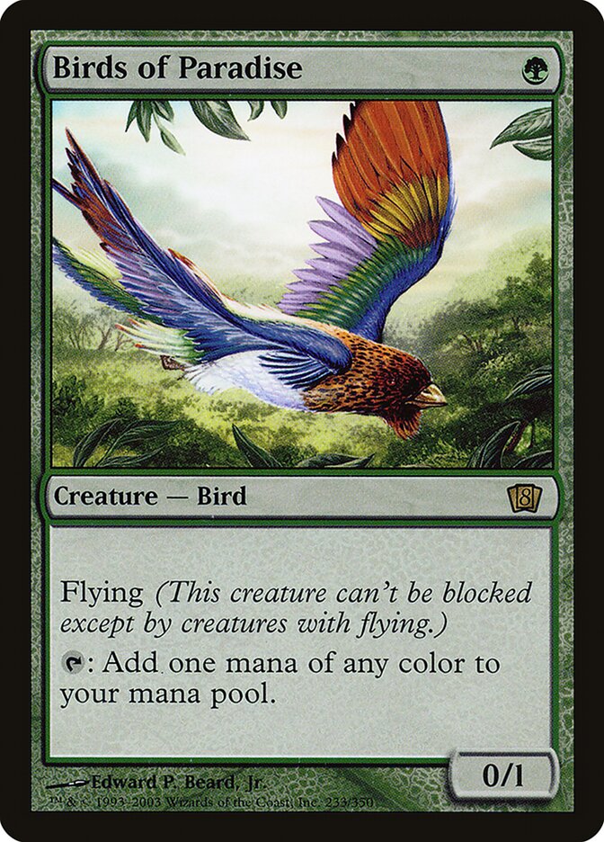 Birds of Paradise card front