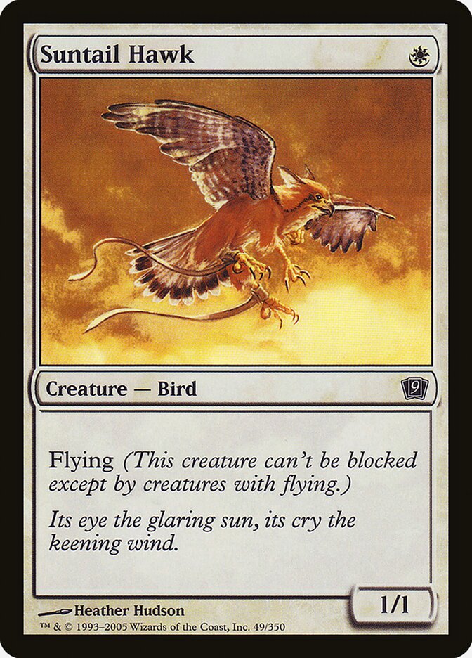 Suntail Hawk card front