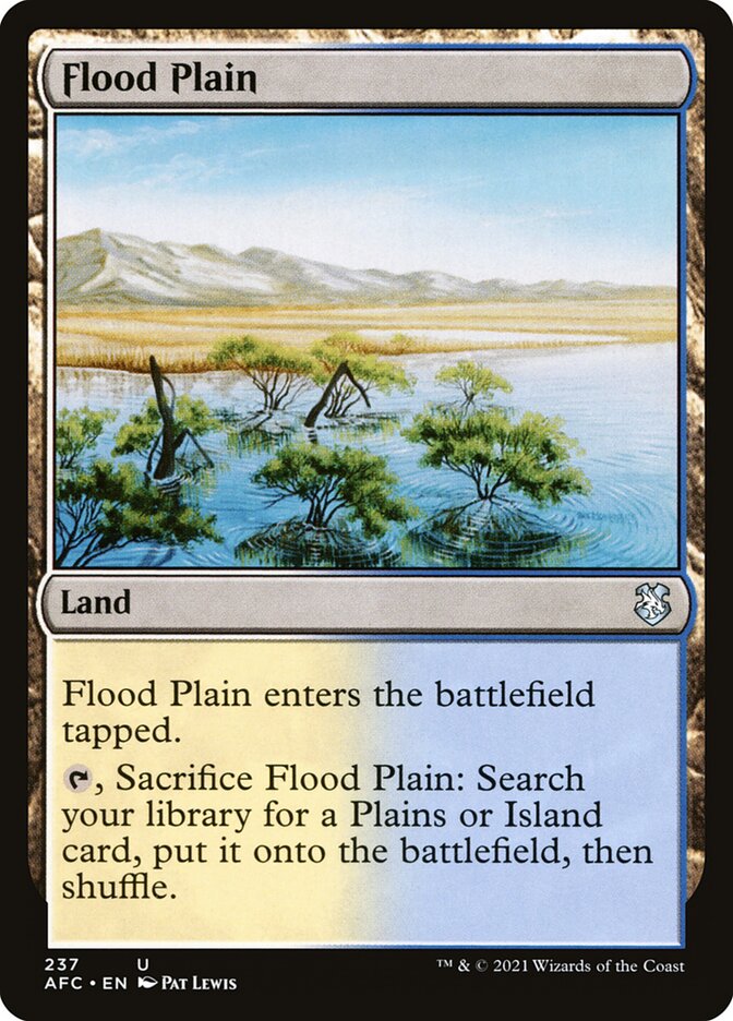 Flood Plain card front