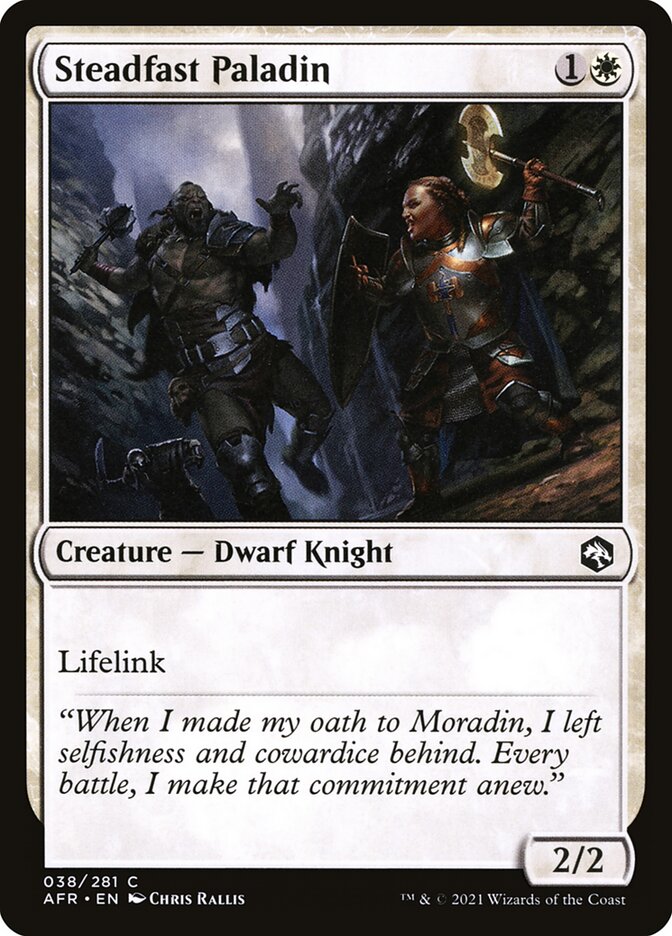 Steadfast Paladin card front