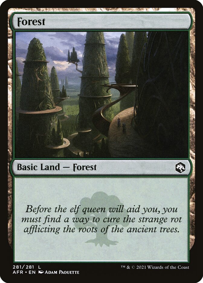 Forest card front