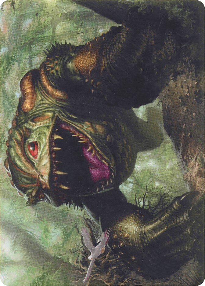 Excavating Anurid card front