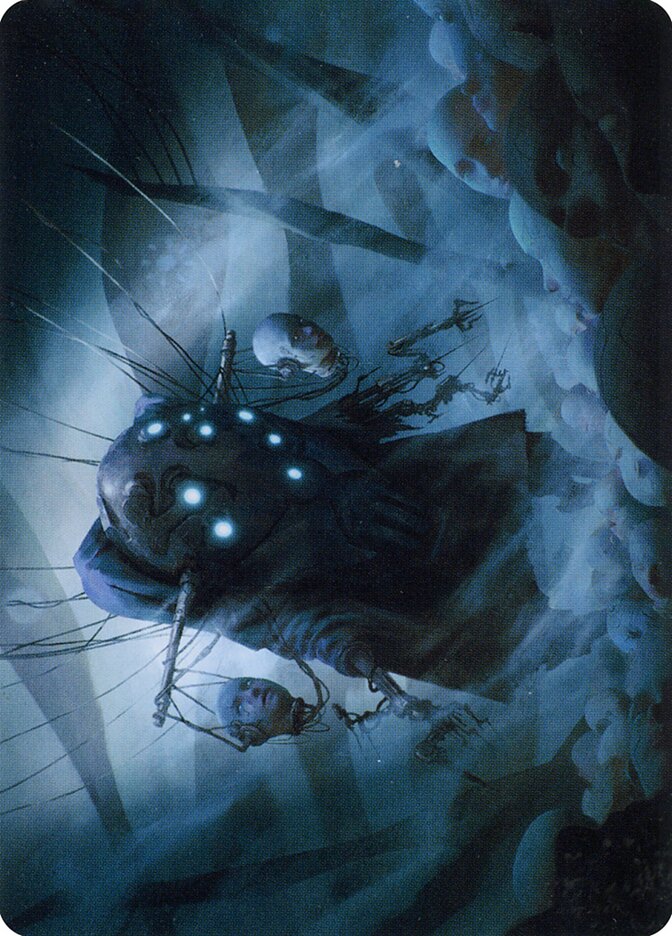 Meldweb Curator card front