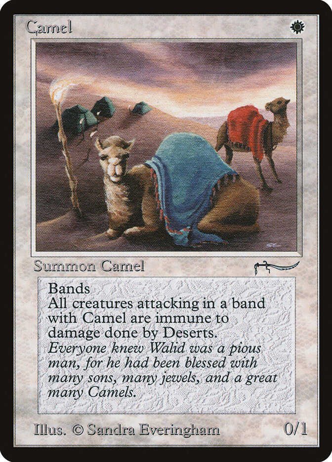 Camel card front