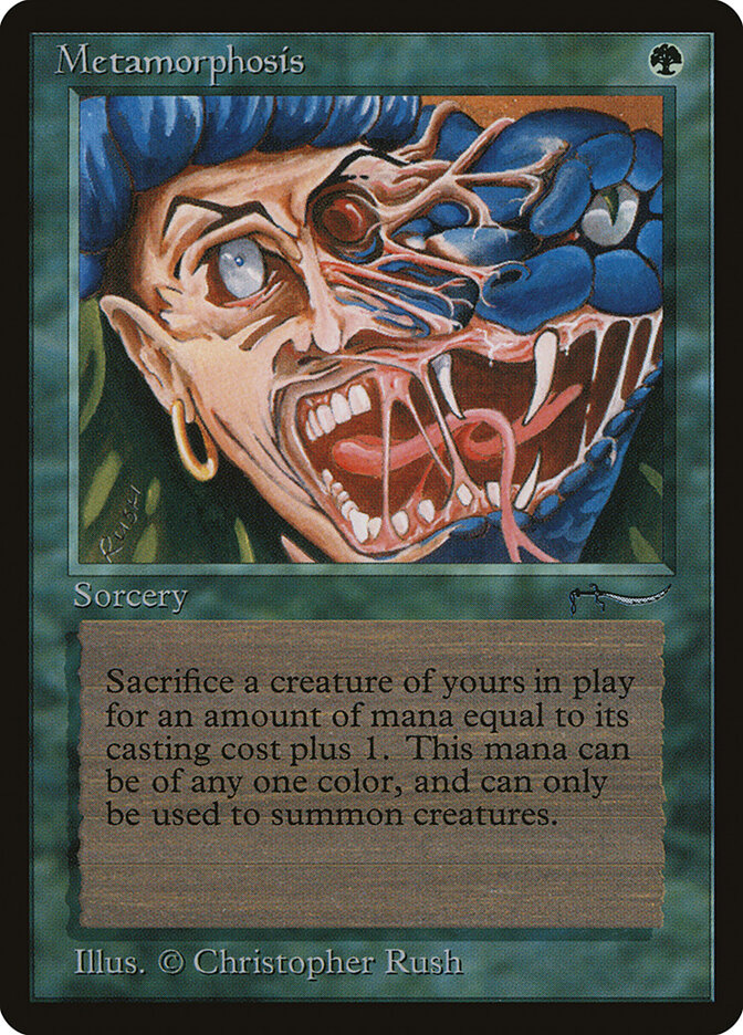 Metamorphosis card front