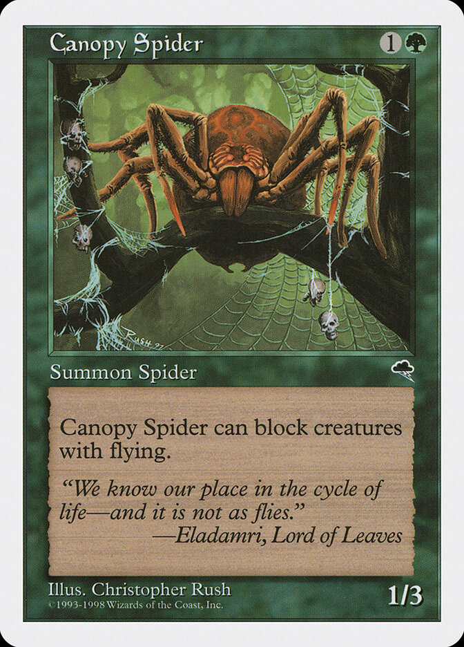 Canopy Spider card front