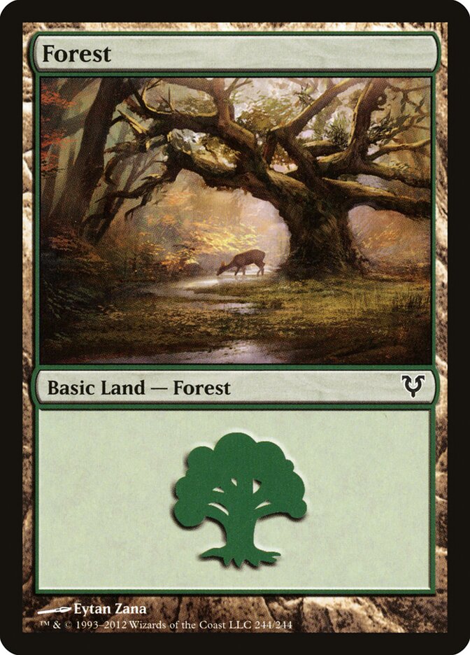 Forest card front