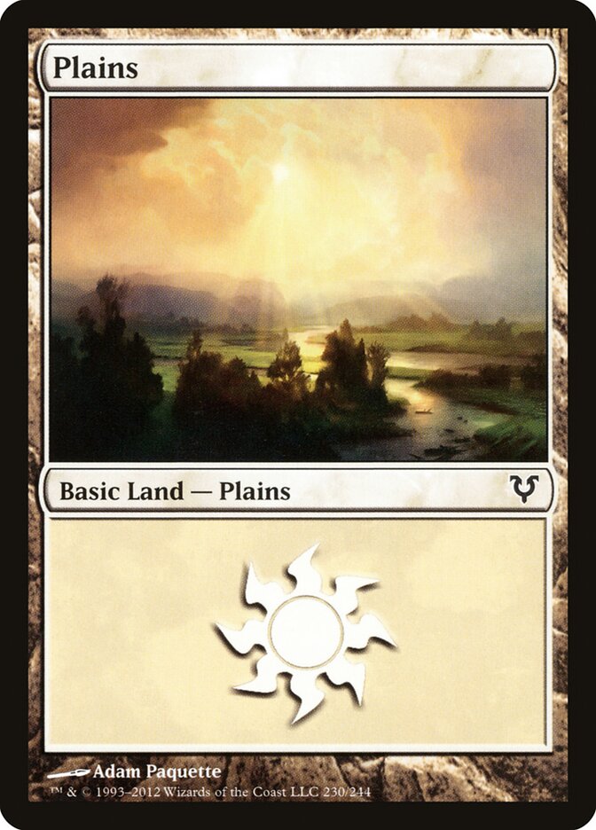 Plains card front