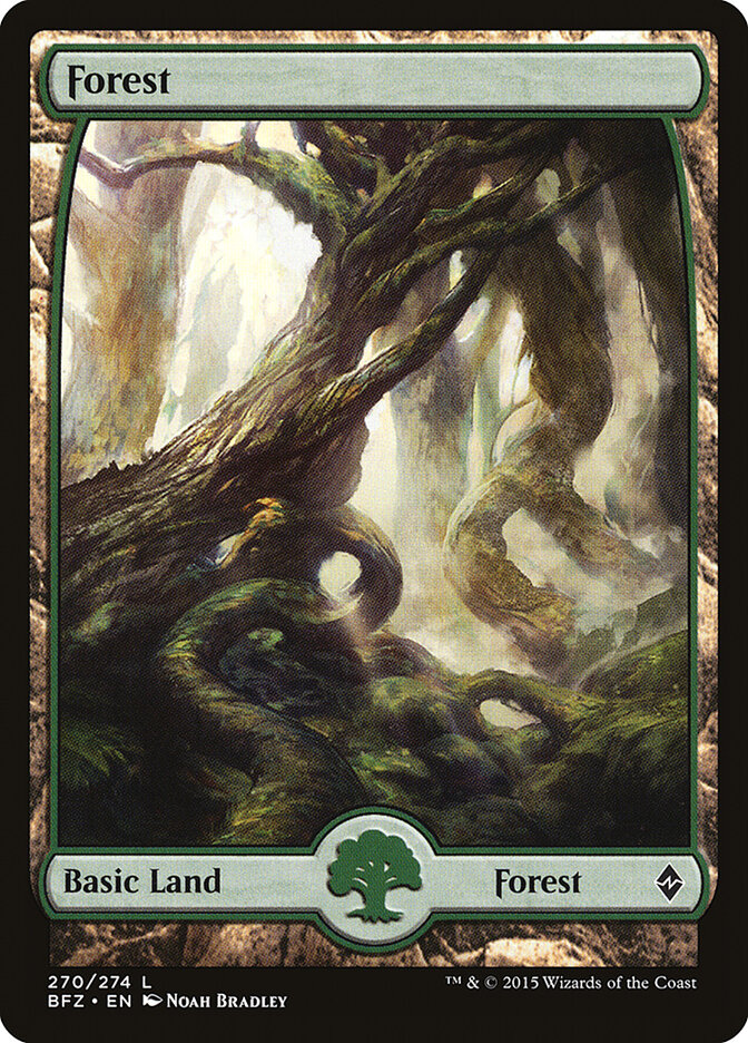 Forest card front