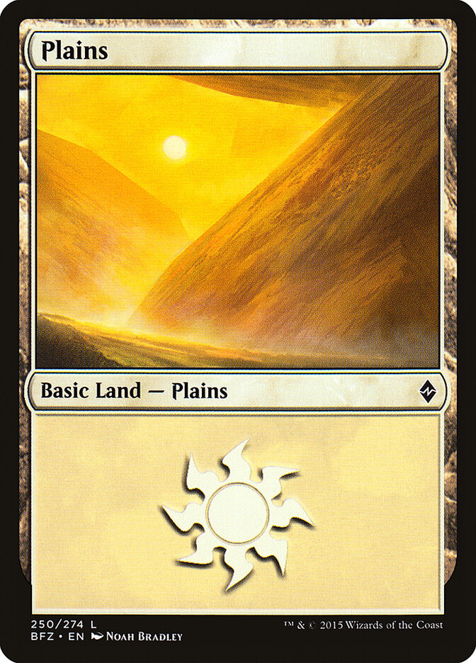 Plains card front