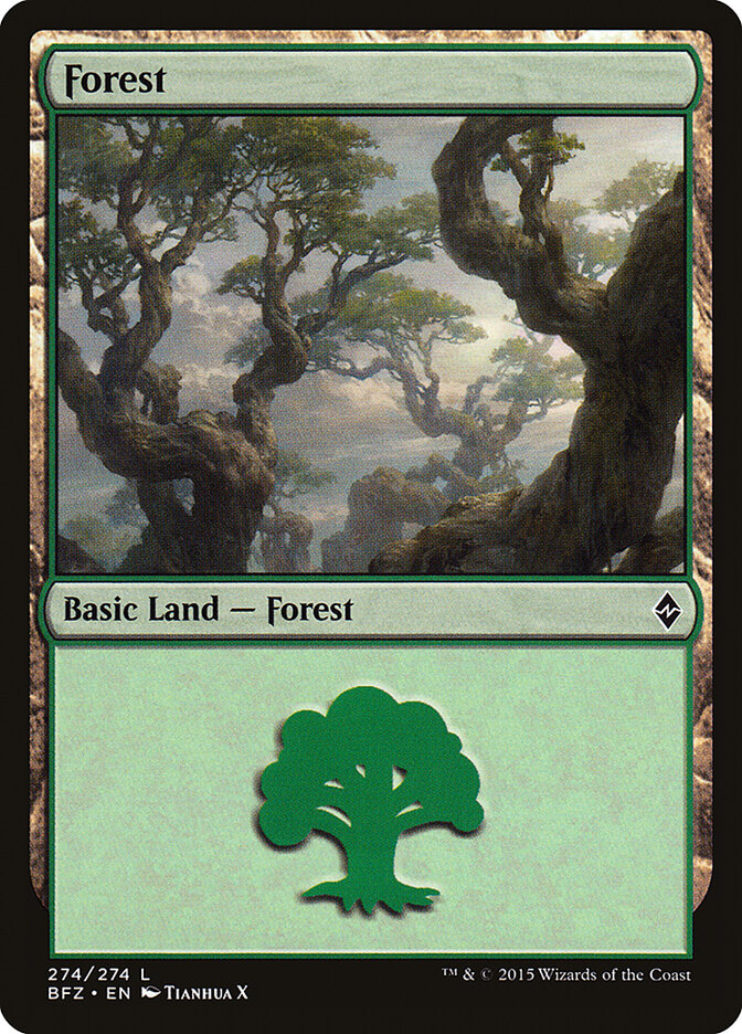 Forest card front