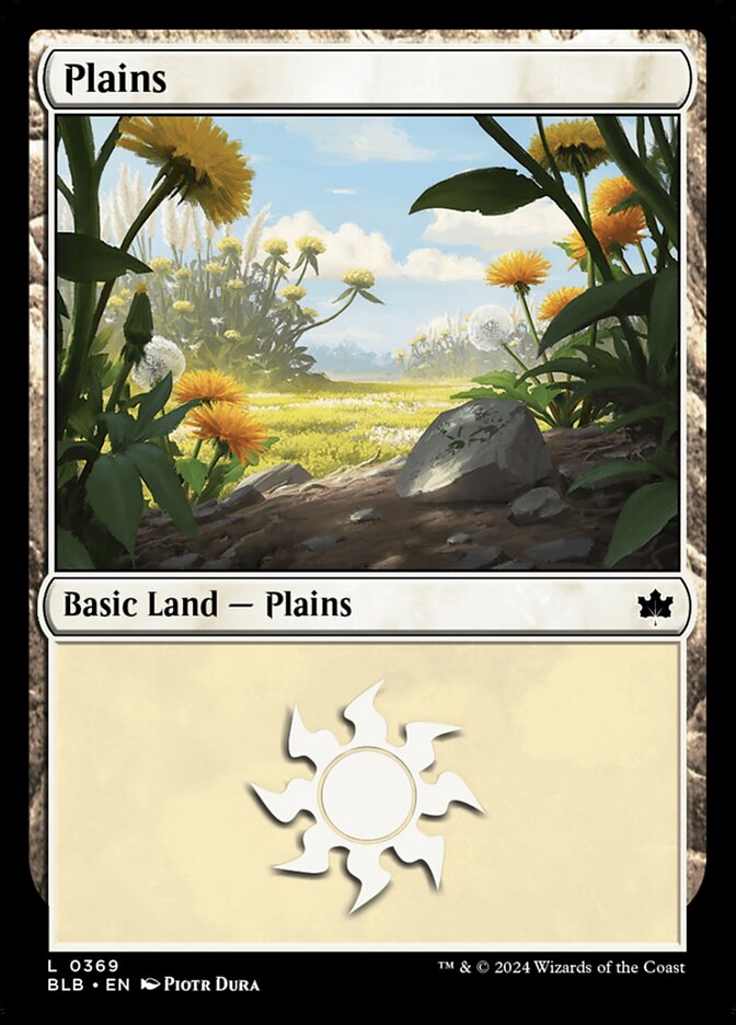 Plains card front