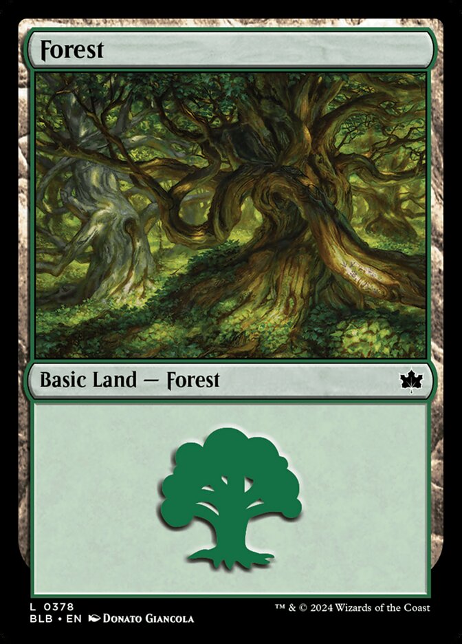 Forest card front