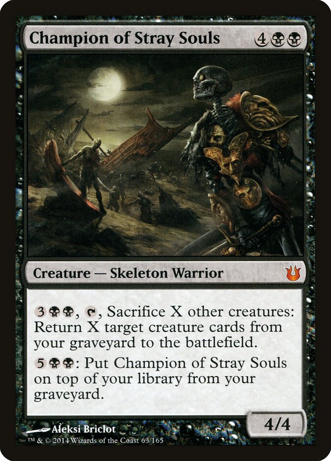 Champion of Stray Souls card front