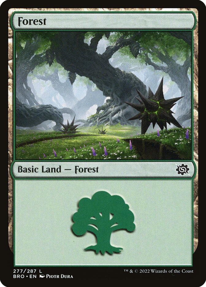 Forest card front