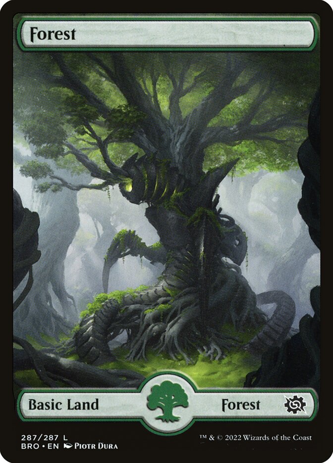 Forest card front
