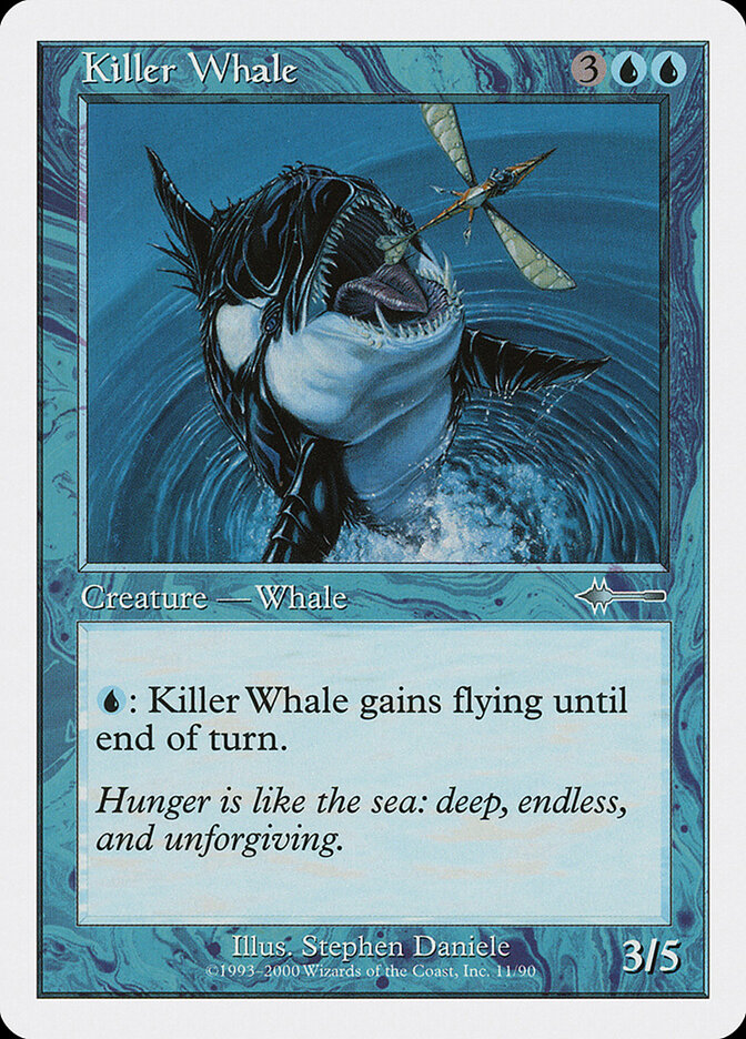 Killer Whale card front
