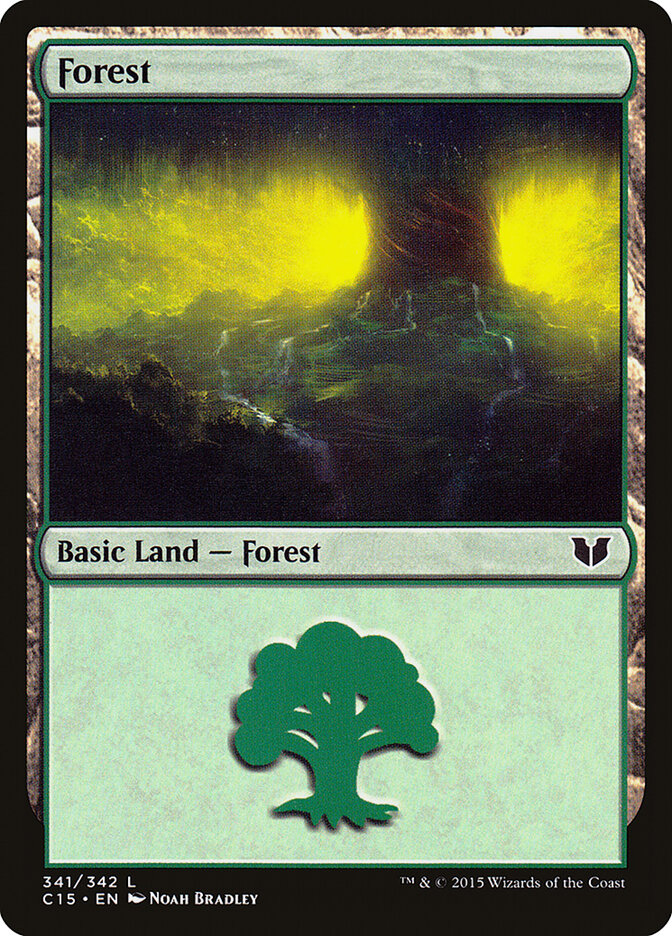 Forest card front