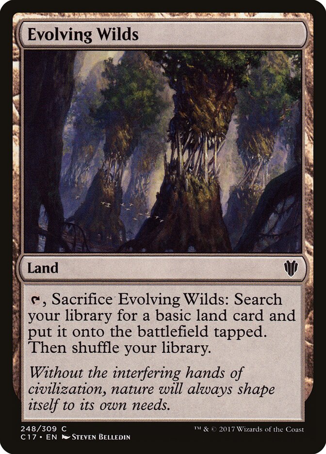 Evolving Wilds card front