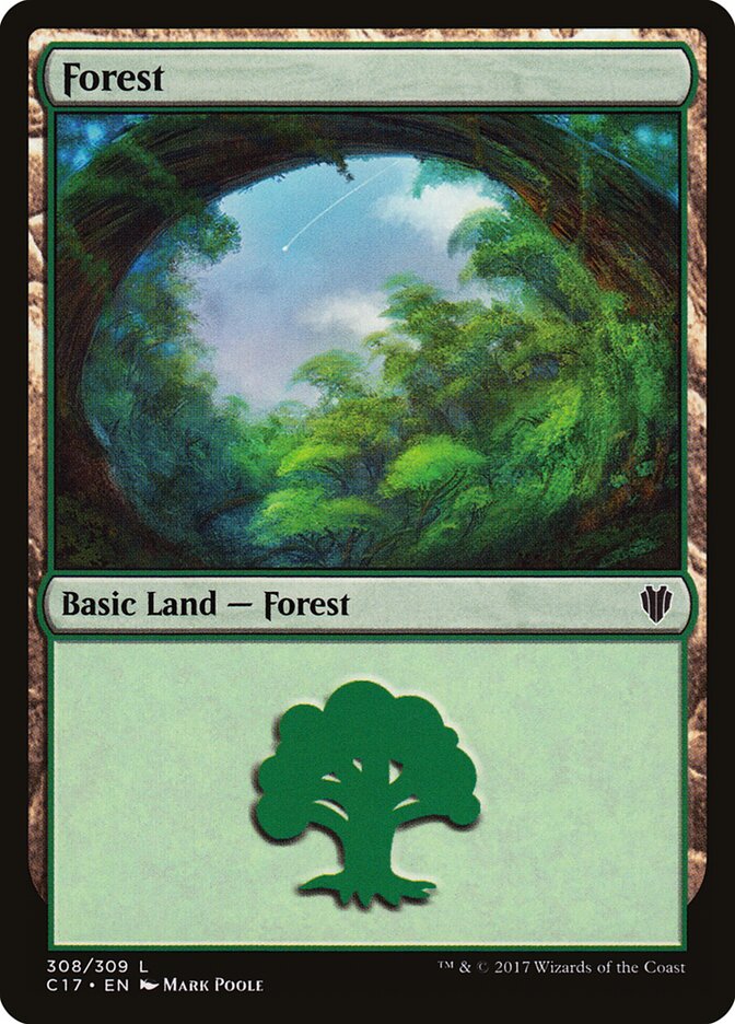 Forest card front