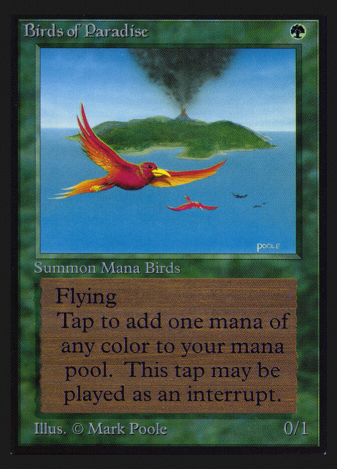 Birds of Paradise card front