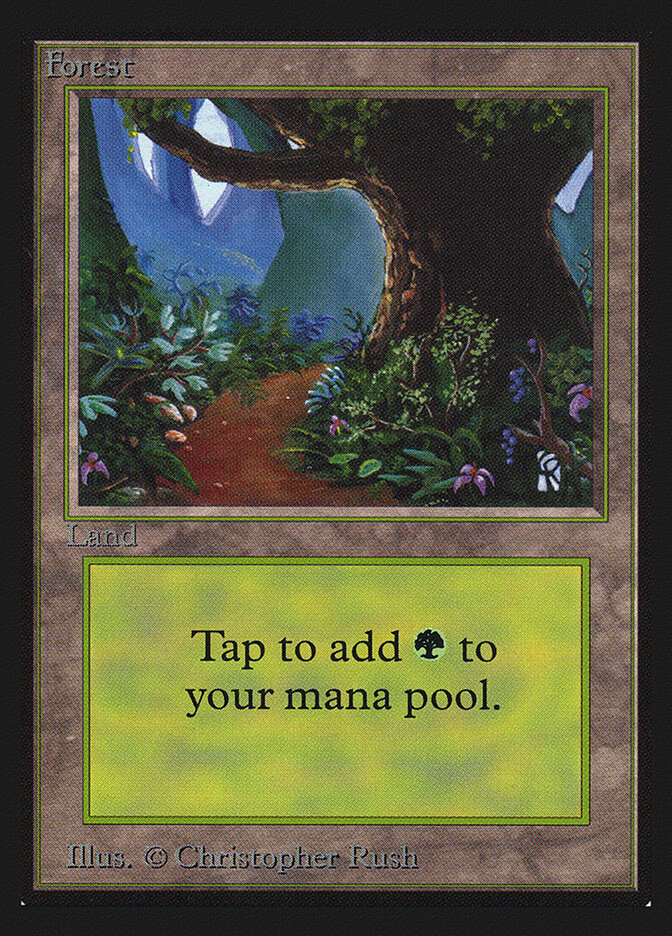 Forest card front