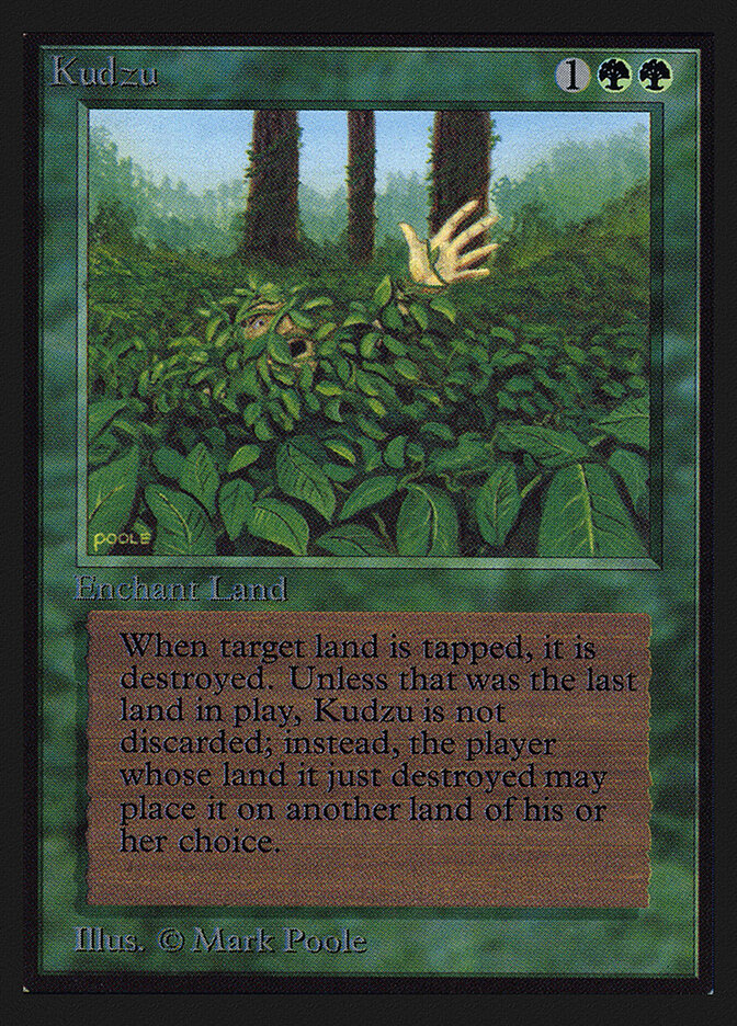 Kudzu card front