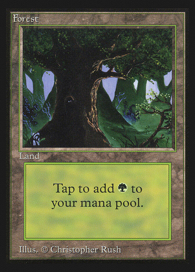 Forest card front