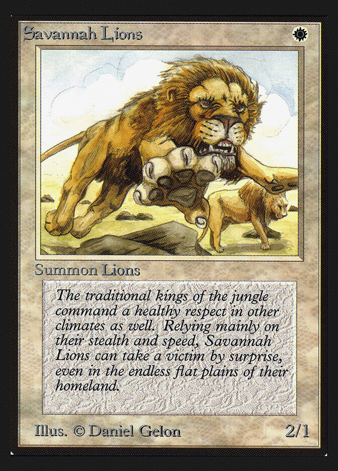 Savannah Lions card front